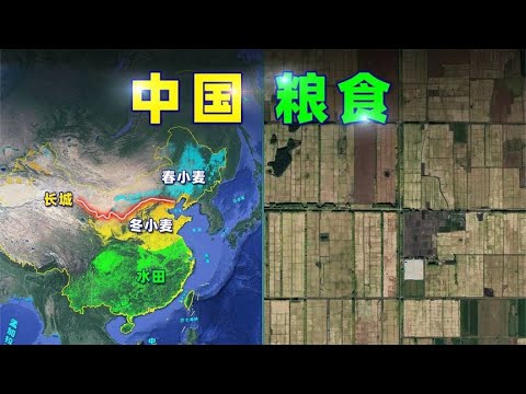 2026世预赛中国队赛程表