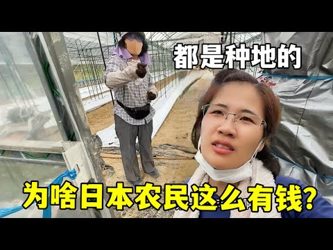2026年世界杯具体时间