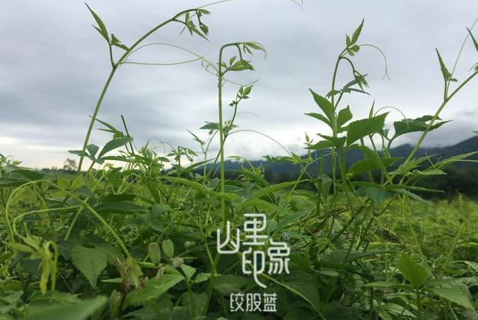 2026世界杯不用熬夜了